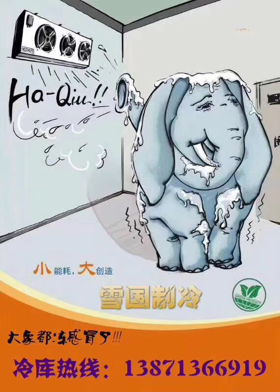 雪國制冷，武漢冷庫，武漢制冷，武漢冷庫公司，小型冷庫，冷庫設計